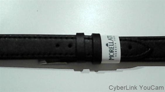 Band Morellato Herr A01X3425695019CR16 - A01X3425695019CR16